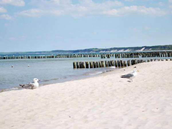 Aquarius Baltico Apartment Ustka Ngoại thất bức ảnh